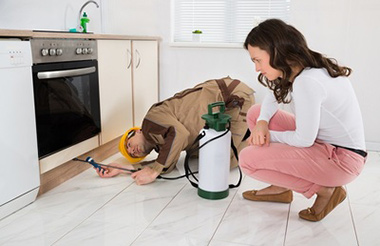Residential Pest Control in Chennai