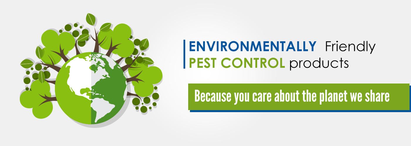 Bed Bugs Control Service in Chennai